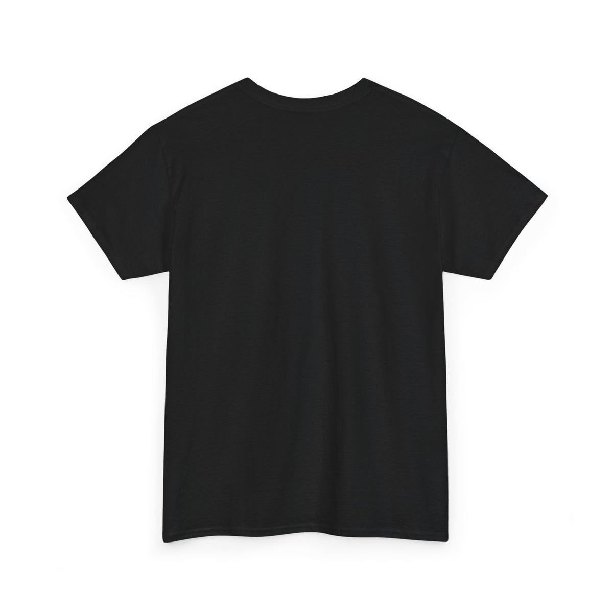 E Pluribus Unum American Eagle T-Shirt patriotic